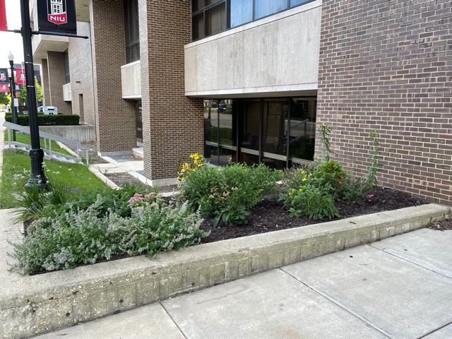 Pollinator Garden Main Entrance Founders
